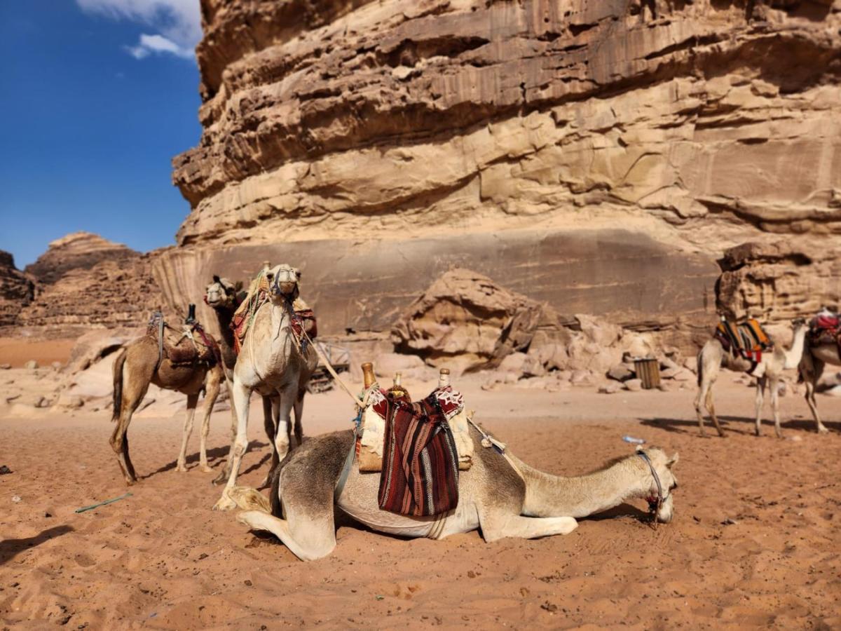 White Desert Camp Wadi Rum Exterior foto